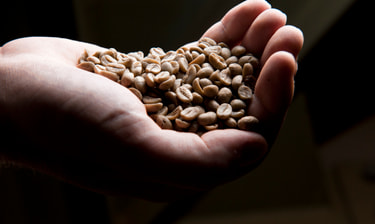 Hand voller Kaffeebohnen Main remplie de grains de café